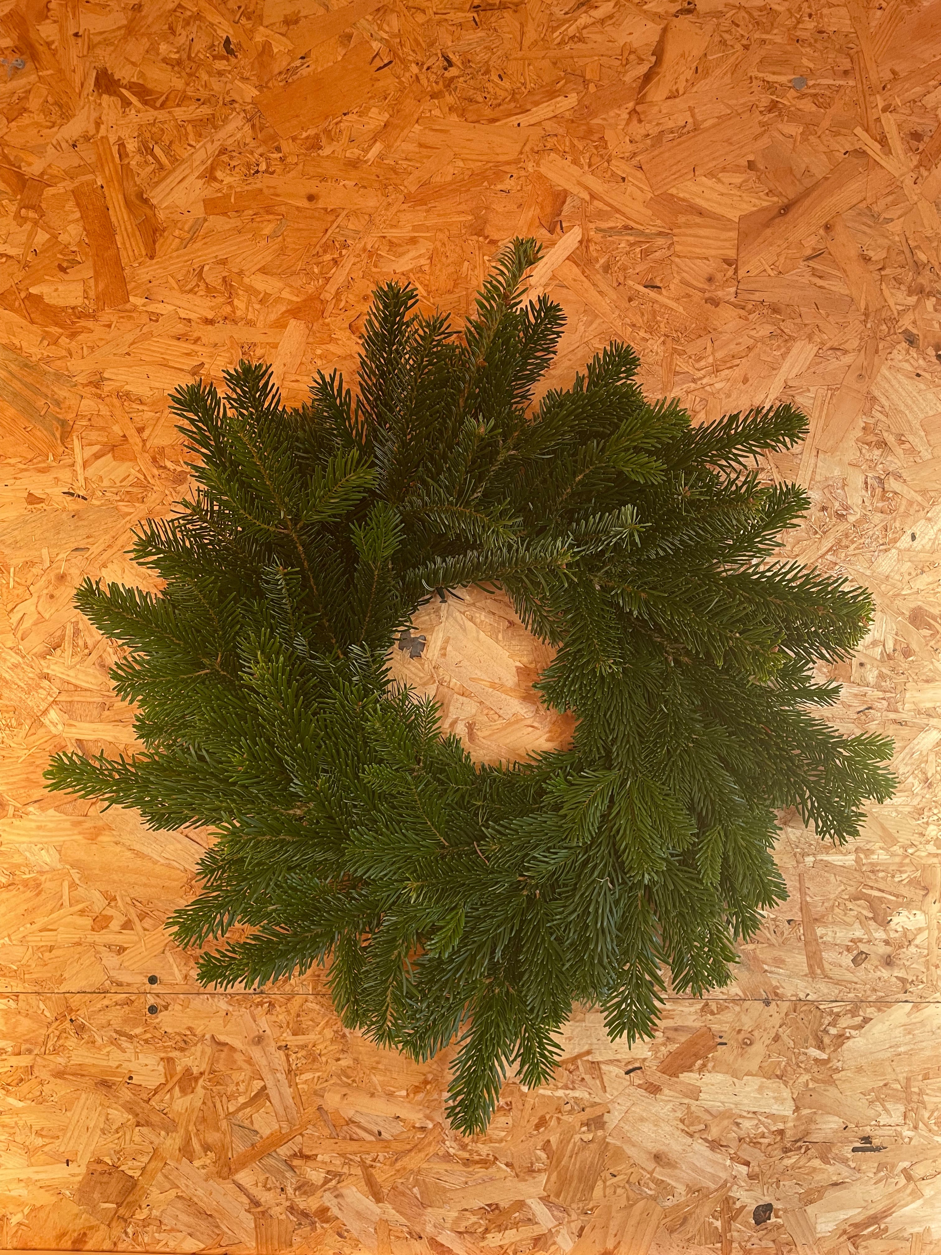 Wreath - Christmas Nobel Fir Wreath