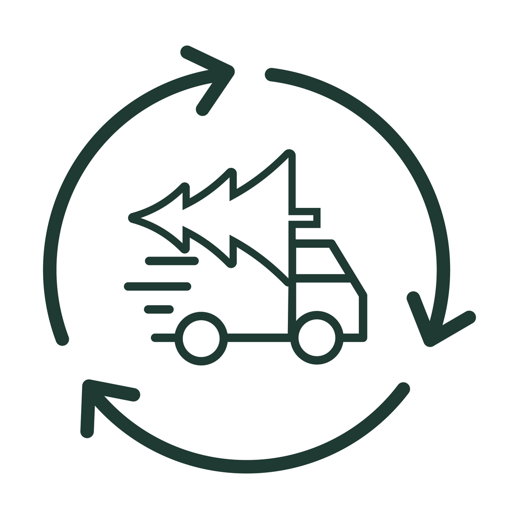 January Christmas Tree Collection & Recycling Service – ‼️ North Kildare & West Dublin only ‼️