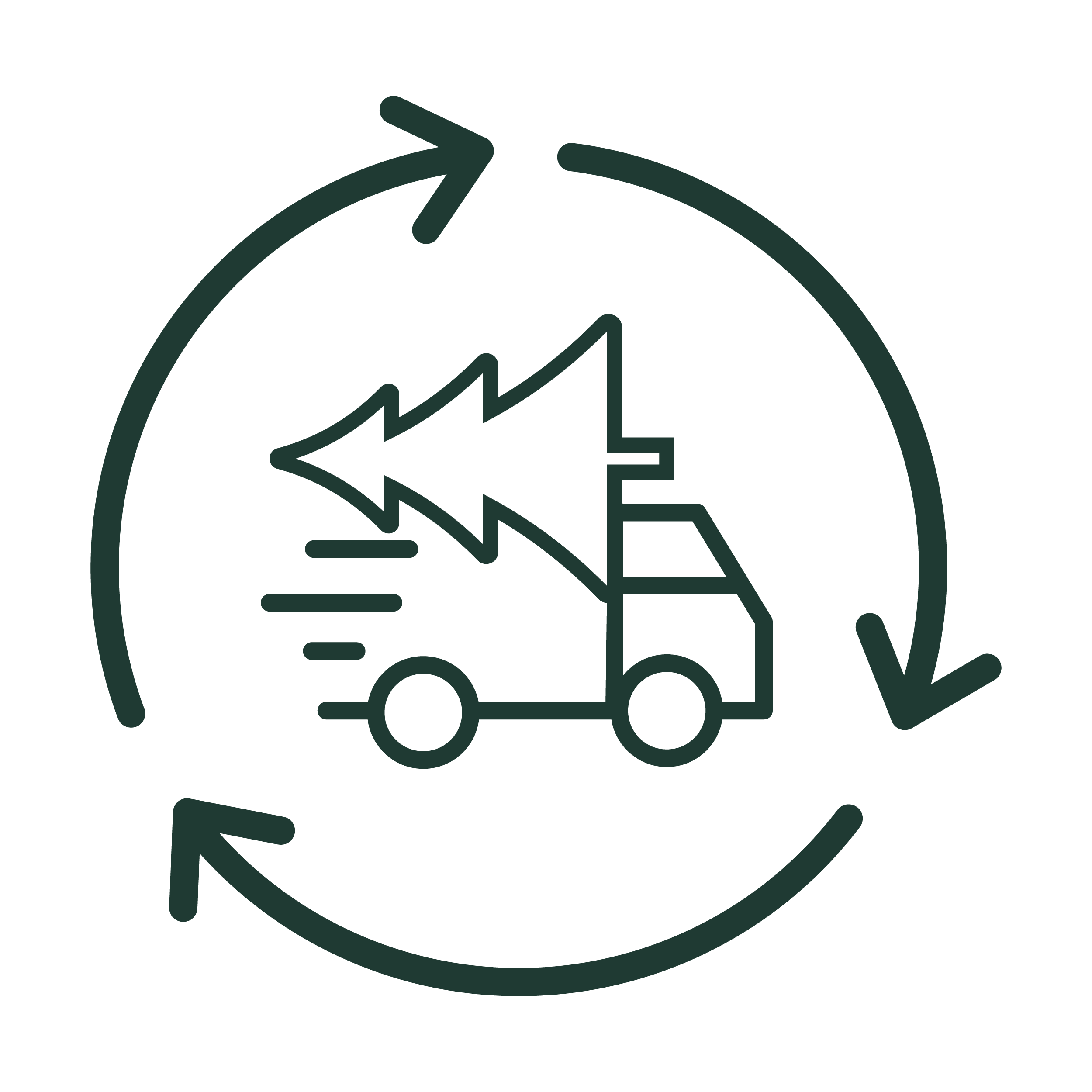 January Christmas Tree Collection & Recycling Service – ‼️ North Kildare & West Dublin only ‼️